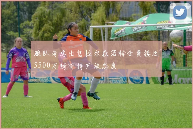狼队考虑出售拉尔森若转会费接近5500万镑将持开放态度
