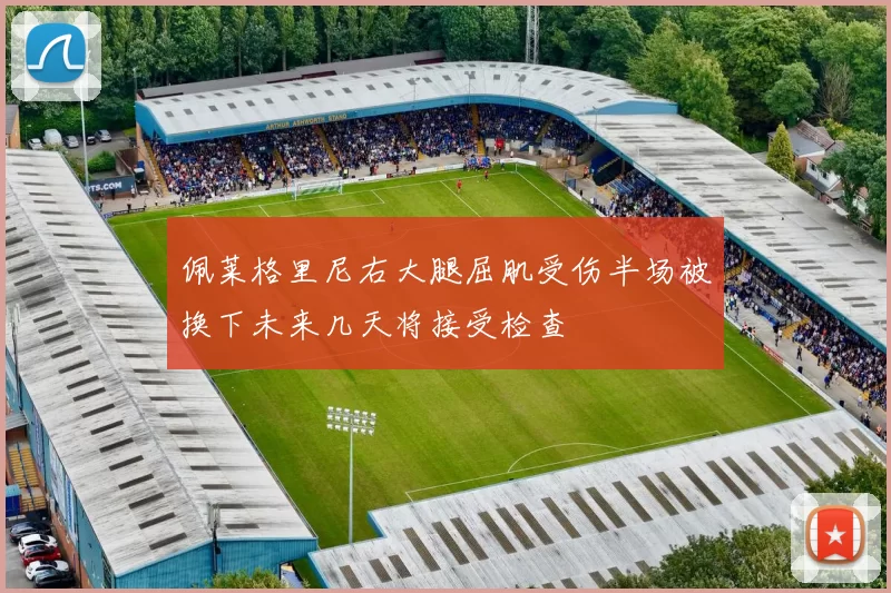 佩莱格里尼右大腿屈肌受伤半场被换下未来几天将接受检查